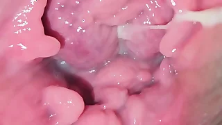 9504 pussy porn videos